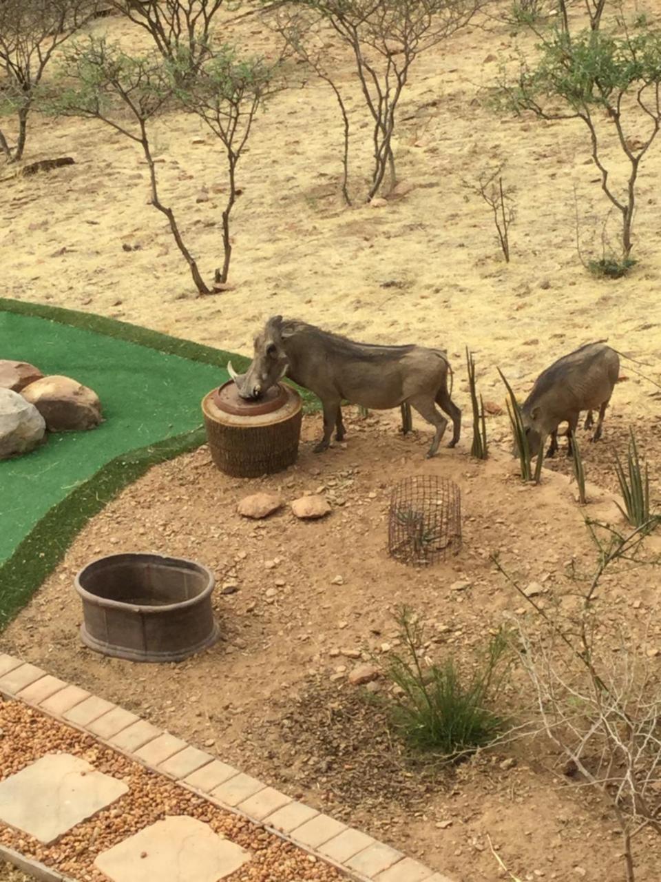 Windhoek Rural Self Catering Voigtland Exterior foto